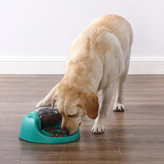 Yellow Lab eating from the Spin N Eat